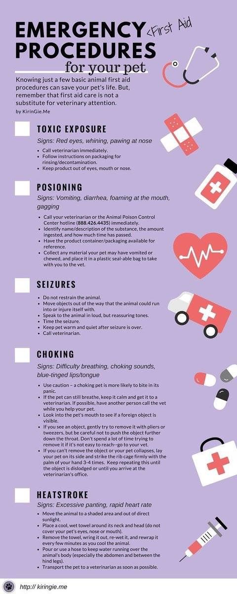 First Aid Graphic